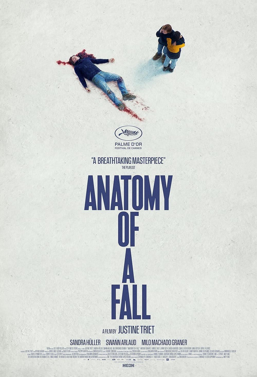 anatomy_of_a_fall.jpg